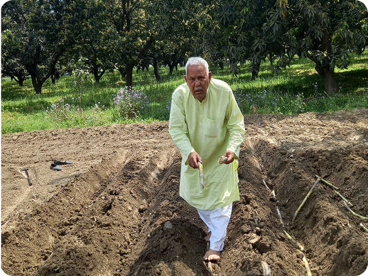 Why Arogya is the Pure Food Shift Your Family Needs?